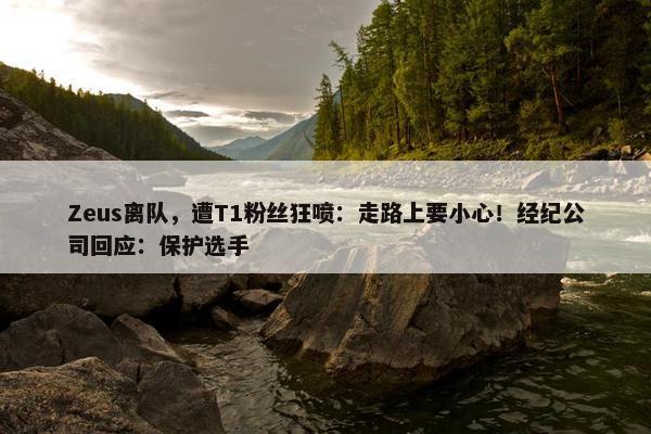 Zeus离队，遭T1粉丝狂喷：走路上要小心！经纪公司回应：保护选手