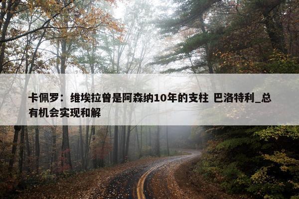 卡佩罗：维埃拉曾是阿森纳10年的支柱 巴洛特利_总有机会实现和解