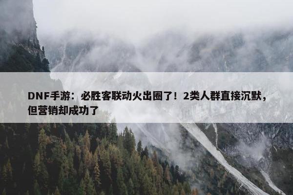 DNF手游：必胜客联动火出圈了！2类人群直接沉默，但营销却成功了