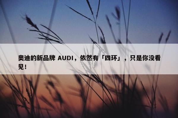 奥迪的新品牌 AUDI，依然有「四环」，只是你没看见！