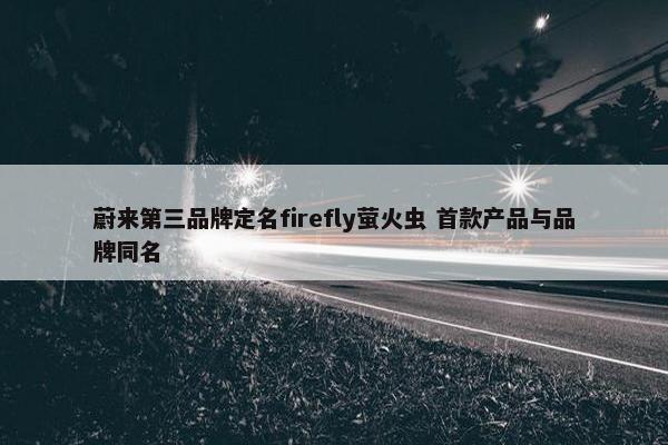 蔚来第三品牌定名firefly萤火虫 首款产品与品牌同名