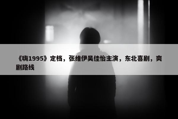 《嗨1995》定档，张维伊吴佳怡主演，东北喜剧，爽剧路线