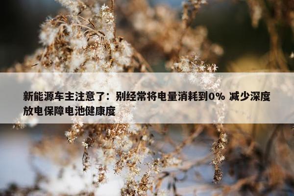 新能源车主注意了：别经常将电量消耗到0% 减少深度放电保障电池健康度