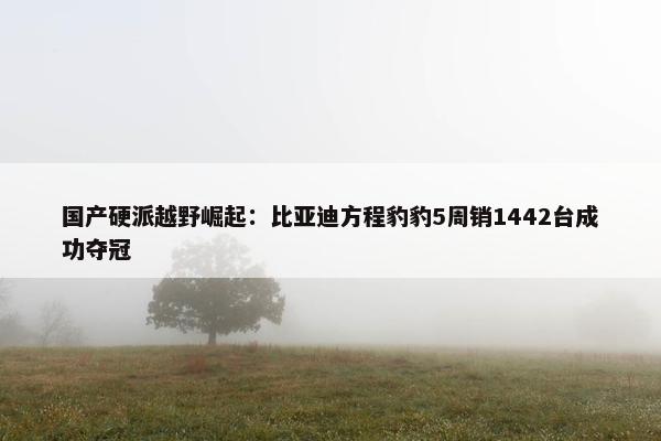 国产硬派越野崛起：比亚迪方程豹豹5周销1442台成功夺冠