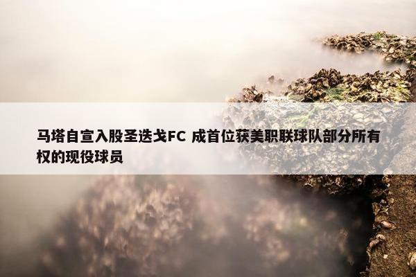 马塔自宣入股圣迭戈FC 成首位获美职联球队部分所有权的现役球员