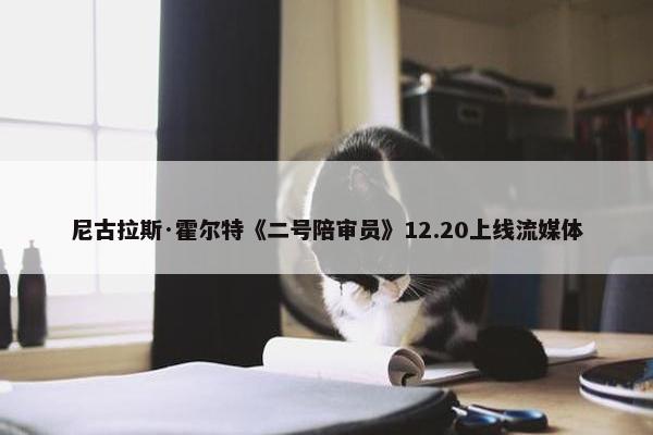 尼古拉斯·霍尔特《二号陪审员》12.20上线流媒体