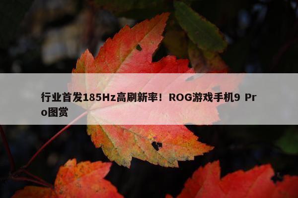 行业首发185Hz高刷新率！ROG游戏手机9 Pro图赏