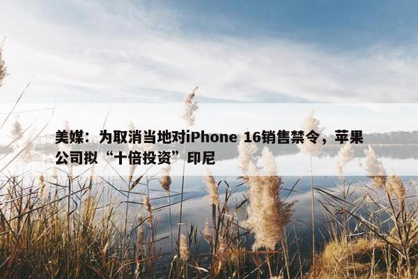 美媒：为取消当地对iPhone 16销售禁令，苹果公司拟“十倍投资”印尼