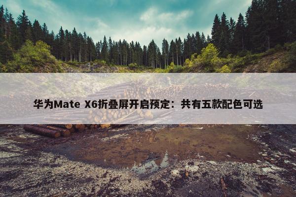 华为Mate X6折叠屏开启预定：共有五款配色可选