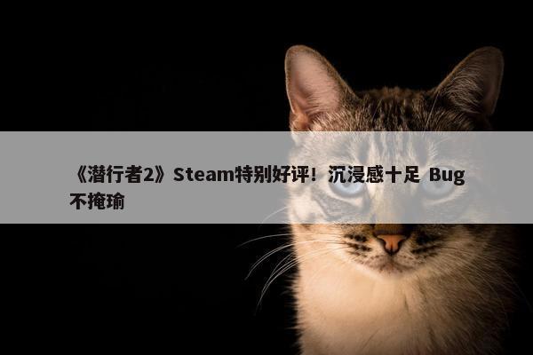 《潜行者2》Steam特别好评！沉浸感十足 Bug不掩瑜