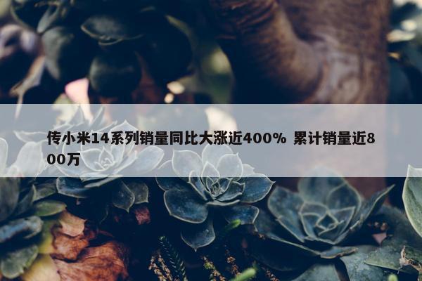 传小米14系列销量同比大涨近400% 累计销量近800万