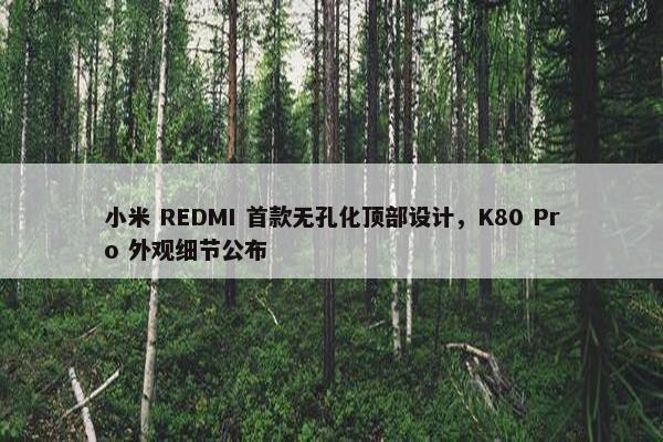 小米 REDMI 首款无孔化顶部设计，K80 Pro 外观细节公布