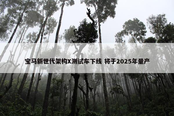 宝马新世代架构X测试车下线 将于2025年量产