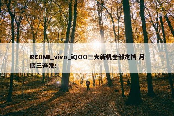 REDMI_vivo_iQOO三大新机全部定档 月底三连发！