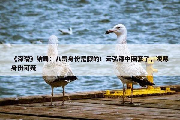 《深潜》结局：八哥身份是假的！云弘深中圈套了，凌寒身份可疑