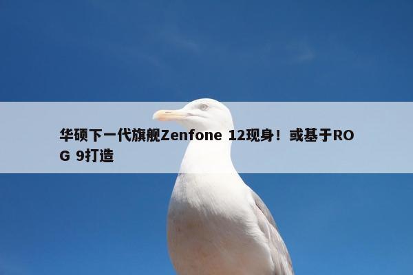 华硕下一代旗舰Zenfone 12现身！或基于ROG 9打造