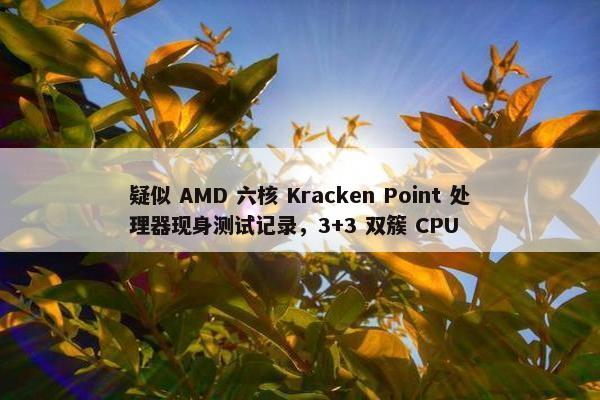 疑似 AMD 六核 Kracken Point 处理器现身测试记录，3+3 双簇 CPU