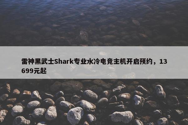 雷神黑武士Shark专业水冷电竞主机开启预约，13699元起