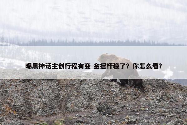 曝黑神话主创行程有变 金摇杆稳了？你怎么看？