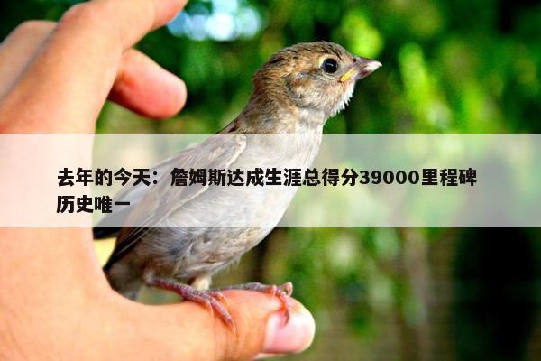 去年的今天：詹姆斯达成生涯总得分39000里程碑 历史唯一