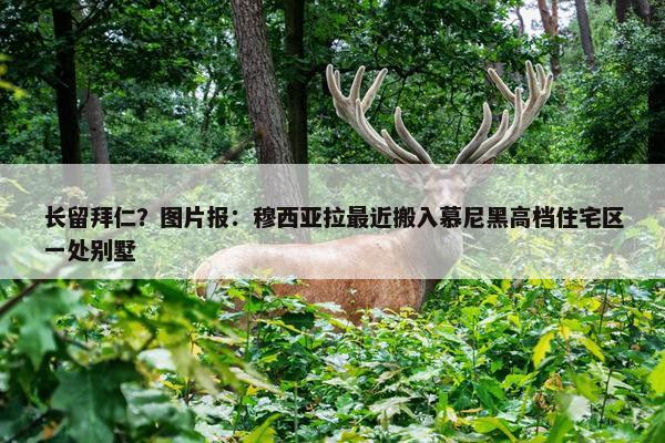 长留拜仁？图片报：穆西亚拉最近搬入慕尼黑高档住宅区一处别墅