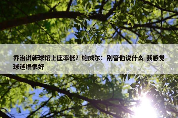 乔治说新球馆上座率低？鲍威尔：别管他说什么 我感觉球迷墙很好