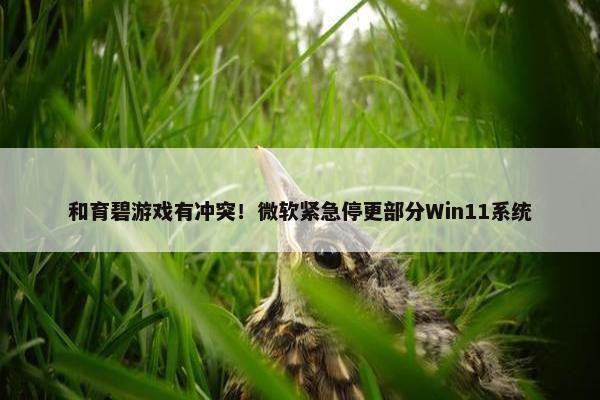 和育碧游戏有冲突！微软紧急停更部分Win11系统