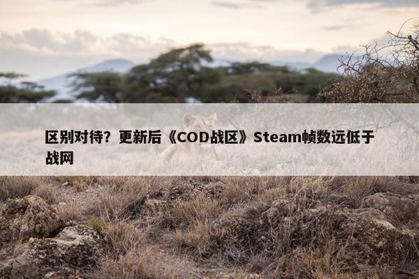 区别对待？更新后《COD战区》Steam帧数远低于战网