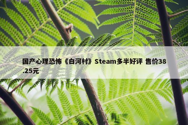 国产心理恐怖《白河村》Steam多半好评 售价38.25元