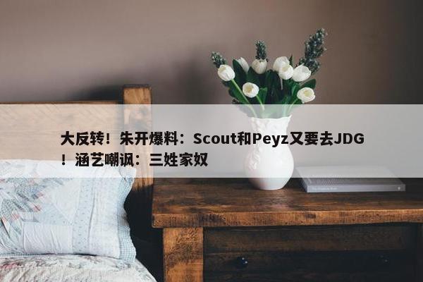 大反转！朱开爆料：Scout和Peyz又要去JDG！涵艺嘲讽：三姓家奴