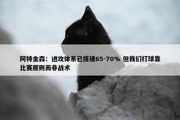 阿特金森：进攻体系已搭建65-70% 但我们打球靠比赛原则而非战术