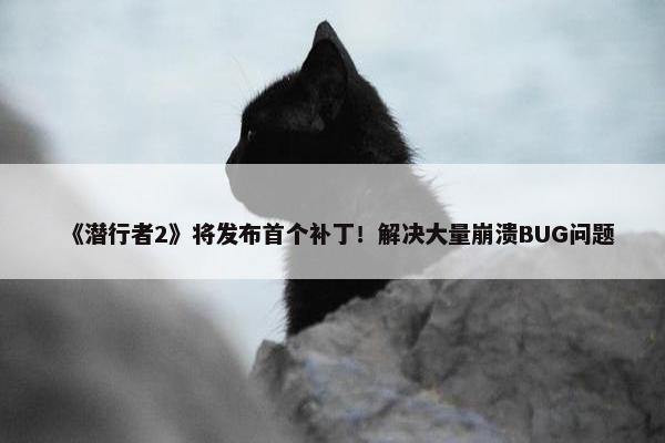 《潜行者2》将发布首个补丁！解决大量崩溃BUG问题