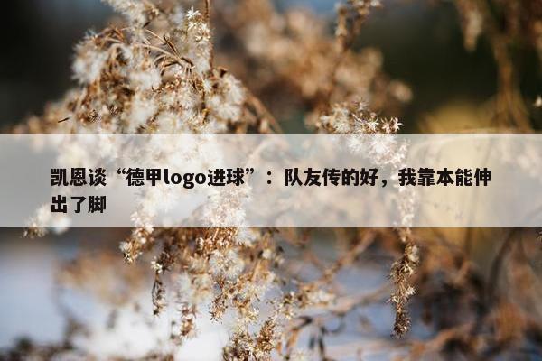 凯恩谈“德甲logo进球”：队友传的好，我靠本能伸出了脚