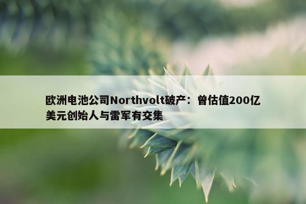 欧洲电池公司Northvolt破产：曾估值200亿美元创始人与雷军有交集