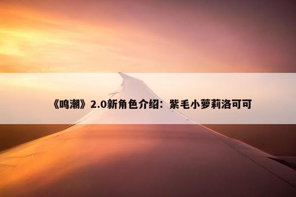 《鸣潮》2.0新角色介绍：紫毛小萝莉洛可可