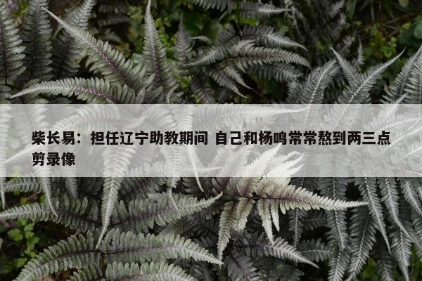 柴长易：担任辽宁助教期间 自己和杨鸣常常熬到两三点剪录像