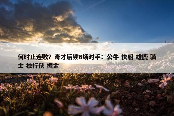 何时止连败？奇才后续6场对手：公牛 快船 雄鹿 骑士 独行侠 掘金