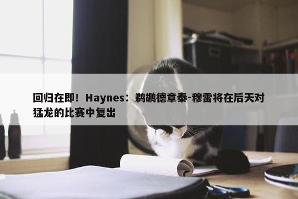 回归在即！Haynes：鹈鹕德章泰-穆雷将在后天对猛龙的比赛中复出