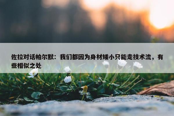 佐拉对话帕尔默：我们都因为身材矮小只能走技术流，有些相似之处