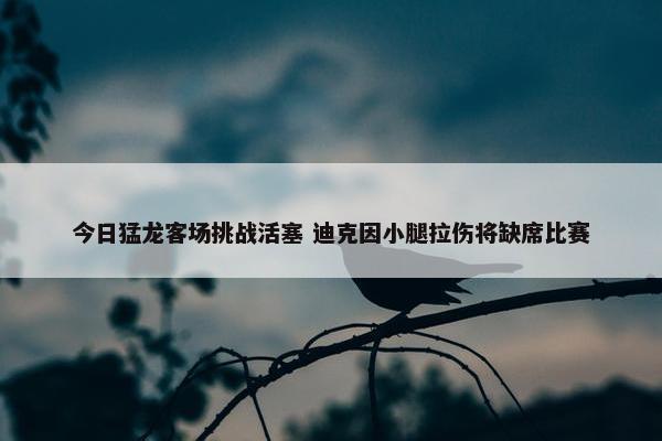 今日猛龙客场挑战活塞 迪克因小腿拉伤将缺席比赛