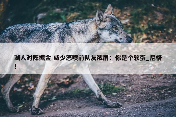 湖人对阵掘金 威少怒喷前队友浓眉：你是个软蛋_尼格！