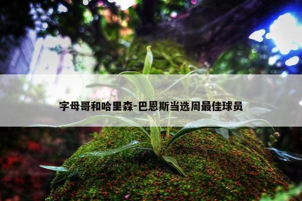 字母哥和哈里森-巴恩斯当选周最佳球员