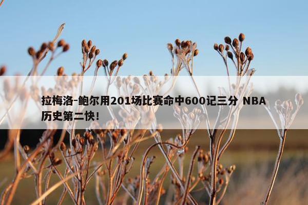 拉梅洛-鲍尔用201场比赛命中600记三分 NBA历史第二快！