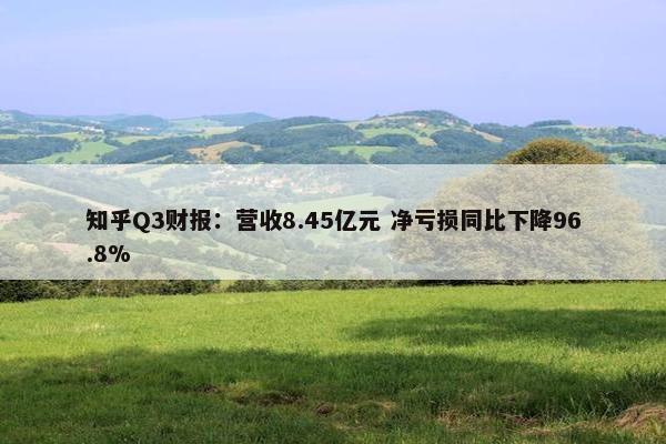 知乎Q3财报：营收8.45亿元 净亏损同比下降96.8%